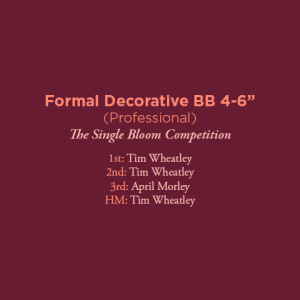 Formal Decorative BB 4 Professional